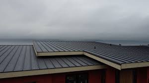 Best Rubber Roofing (EPDM, TPO)  in Granite, OK